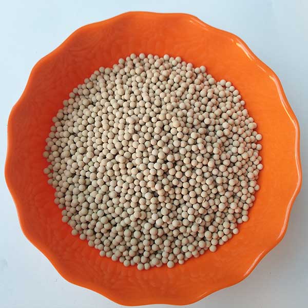  �՚�������ӺY